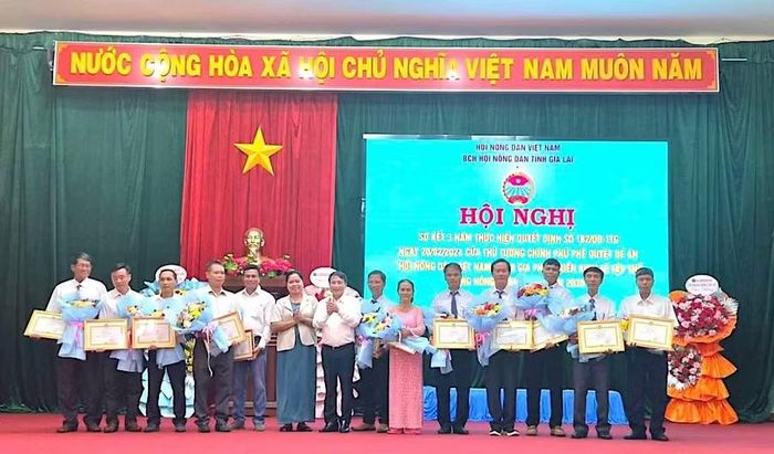  Hội Nông dân tỉnh Gia Lai khen thưởng các cá nhân xuất sắc trong thực hiện Quyết định số 182/QĐ-TTg. Ảnh Hồng Thương 