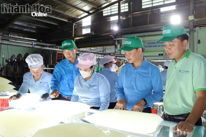 Lãnh đạo Liên đoàn Lao động tỉnh thăm hỏi, động viên công nhân tại Khu Công nghiệp Thanh Hải (phường Bảo An).