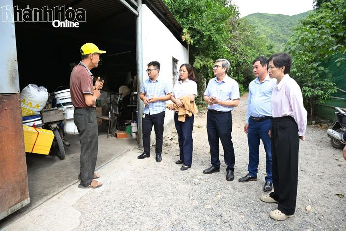 Đoàn kiểm tra việc chăn nuôi heo tại Tổ dân phố Phước Sơn.