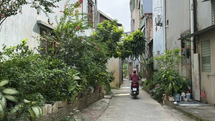 Con ngõ vốn đã chật hẹp vẫn bị lấn chiếm để trồng cây