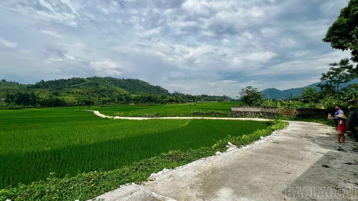 Đến nay, xã Hợp Thành đã hoàn thành 2.025/2.501 m, đạt khoảng 81% khối lượng 6 công trình đường giao thông nông thôn theo kế hoạch năm 2026.