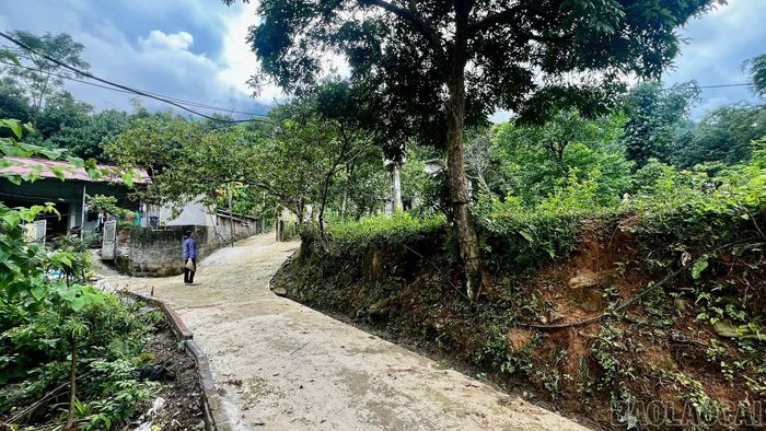 Tuyến đường ngõ xóm hoàn thành, đưa vào sử dụng đã góp phần làm thay đổi diện mạo nông thôn, tạo thuận lợi cho Nhân dân đi lại, giao thương, phát triển sản xuất, từng bước nâng cao chất lượng đời sống.
