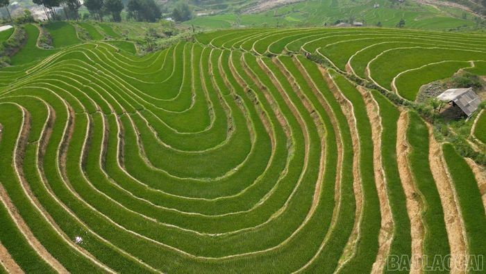 Phát huy giá trị ruộng bậc thang, xã Hạnh Phúc từng bước kết hợp phát triển sản xuất nông nghiệp với du lịch sinh thái, tạo thêm sinh kế cho người dân.