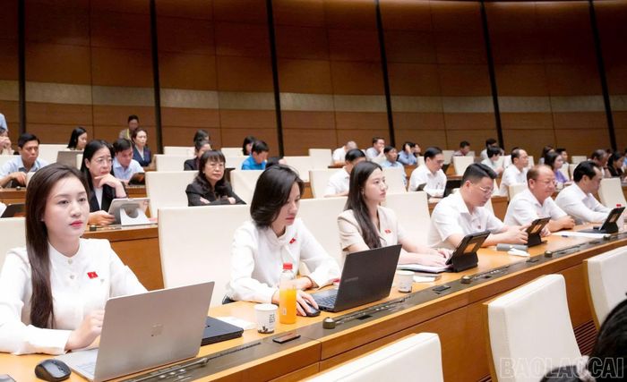 Đoàn Đại biểu Quốc hội tỉnh Lào Cai tham gia phiên họp.