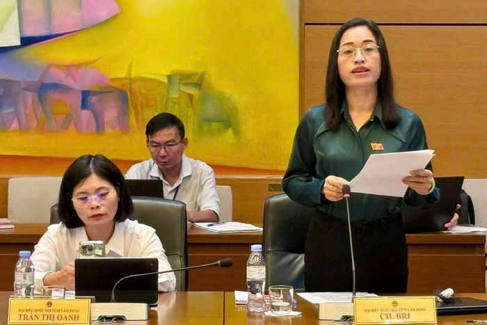 Đại biểu Cil Bri, Đoàn ĐBQH tỉnh Lâm Đồng nêu kiến nghị