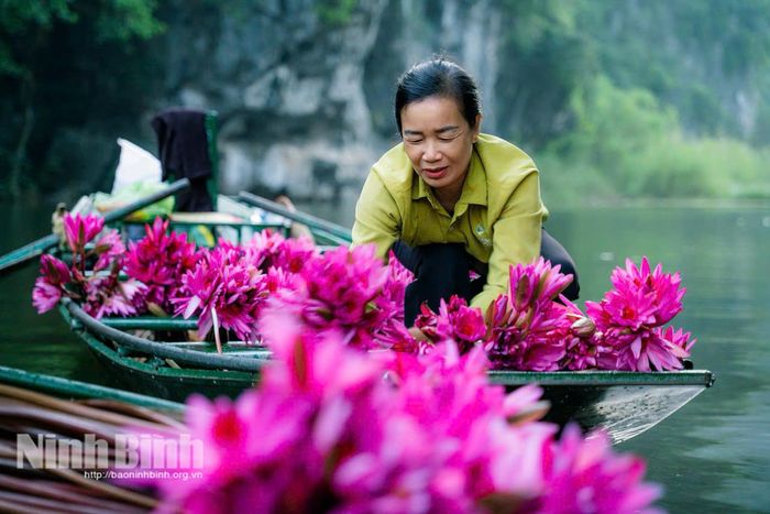 Sự am hiểu văn hóa cùng lòng hiếu khách tự nhiên của con người địa phương là nền tảng cốt lõi để nâng tầm thương hiệu du lịch Ninh Bình.