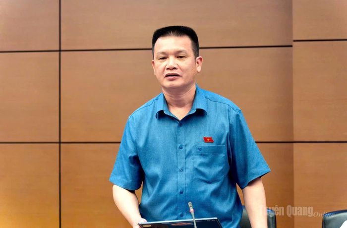 Đại biểu Hoàng Ngọc Định tham gia thảo luận.