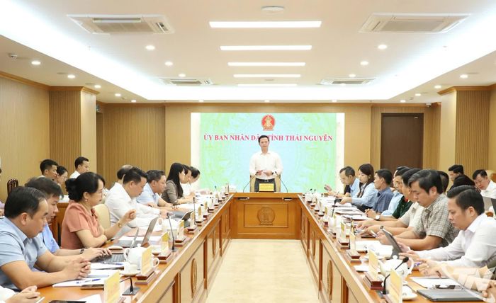 Đồng chí Chủ tịch UBND tỉnh Vương Quốc Tuấn chủ trì cuộc họp.