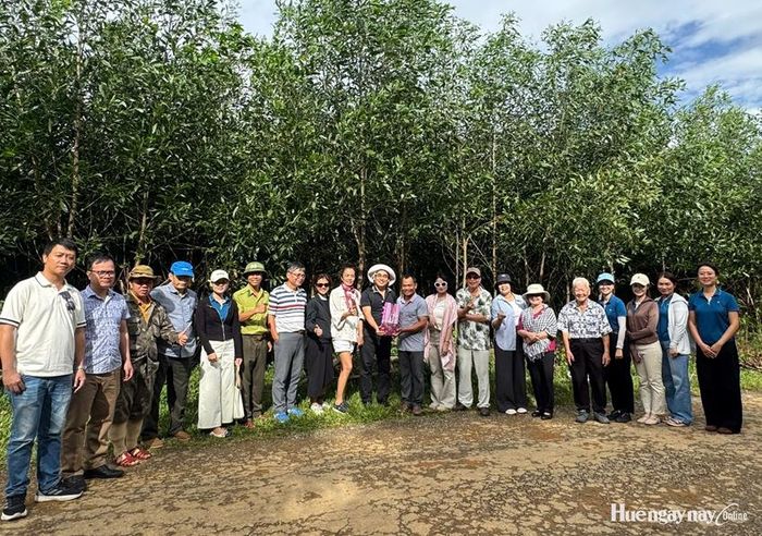 Đoàn đại biểu tham quan mô hình phát triển lâm nghiệp tại xã A Lưới 2 trong khuôn khổ chương trình hội thảo