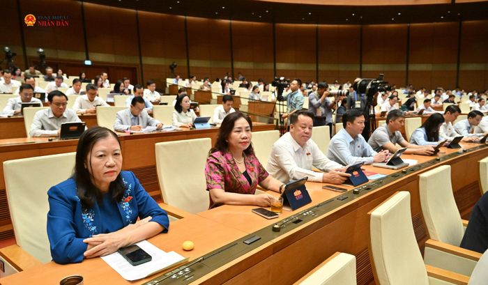 Các đại biểu tham dự phiên họp. Ảnh: Hồ Long
