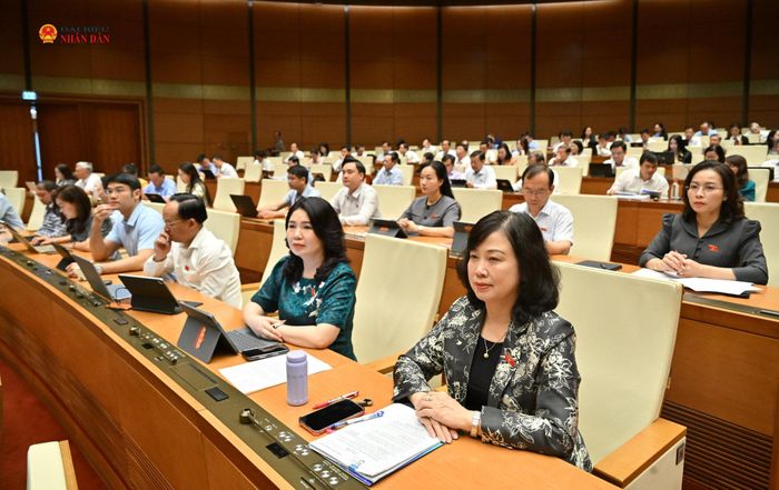 Các đại biểu tham dự phiên họp. Ảnh: Hồ Long