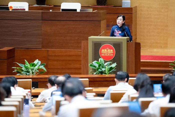 Chủ nhiệm Ủy ban Khoa học, Công nghệ và Môi trường Nguyễn Thanh Hải trình bày Báo cáo thẩm tra dự án Luật. Ảnh: Phạm Thắng