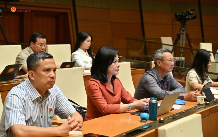 Các đại biểu tham dự phiên họp. Ảnh: Quang Khánh