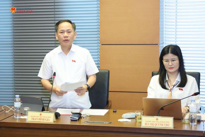 ĐBQH Trần Đình Gia (Hà Tĩnh) phát biểu
