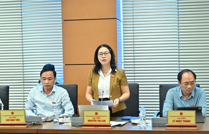 ĐBQH Nguyễn Thị Lan (Hà Nội) phát biểu thảo luận tại Tổ 1. Ảnh: Quang Khánh