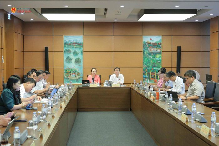 Toàn cảnh phiên thảo luận Tổ 4