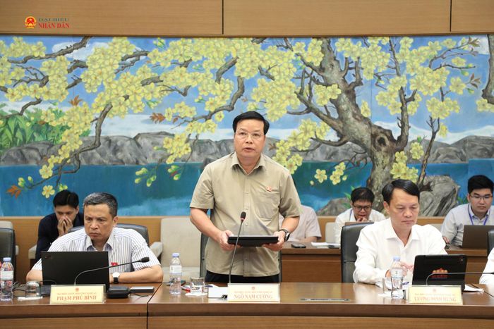 ĐBQH Ngô Nam Cường (Nghệ An) phát biểu