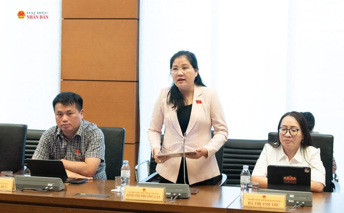 ĐBQH Đinh Thị Phương Lan (Quảng Ngãi) phát biểu
