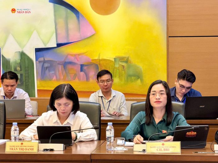 Các ĐBQH tỉnh Lâm Đồng thảo luận tổ