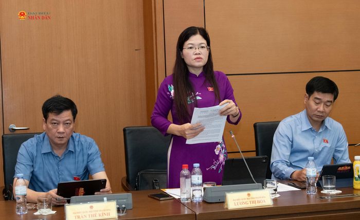 ĐBQH Lương Thị Hoa (Thanh Hóa) phát biểu. Ảnh: Lâm Hiển