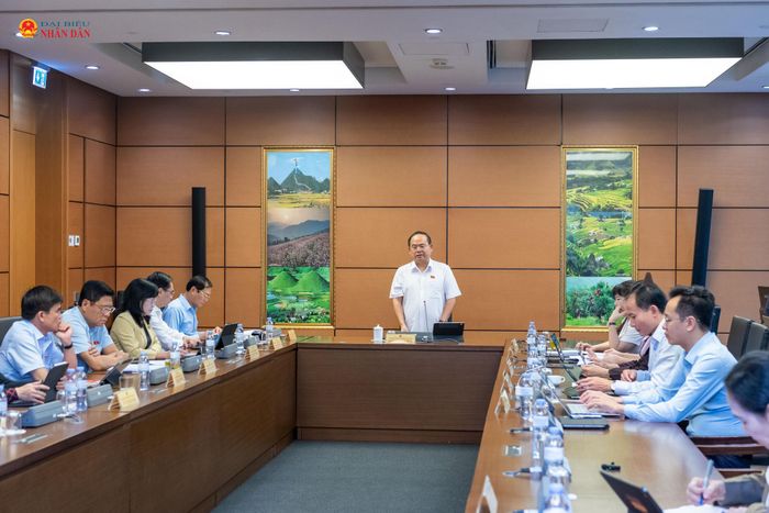 Quang cảnh phiên thảo luận Tổ 14, sáng 7/8. Ảnh: Mạnh Hưng