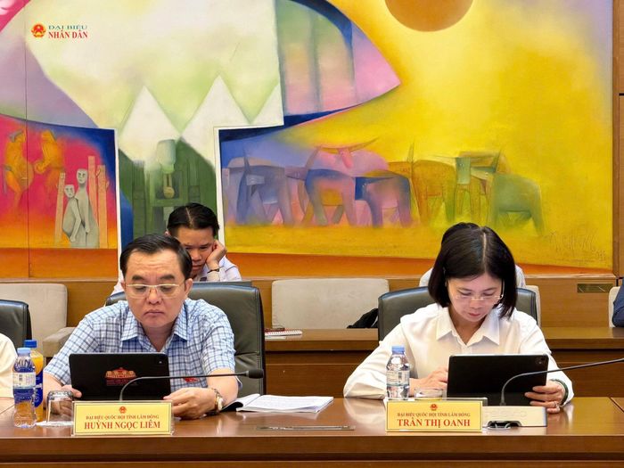 ĐBQH tỉnh Lâm Đồng tham gia phiên thảo luận tổ