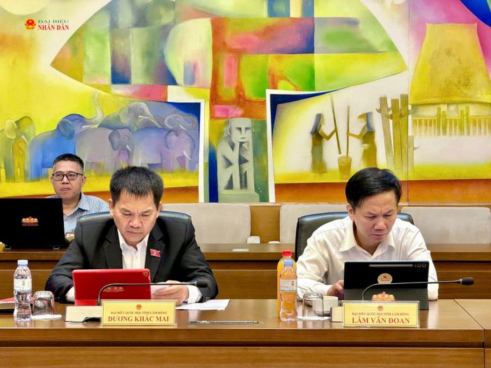 ĐBQH tỉnh Lâm Đồng tham gia phiên thảo luận tổ