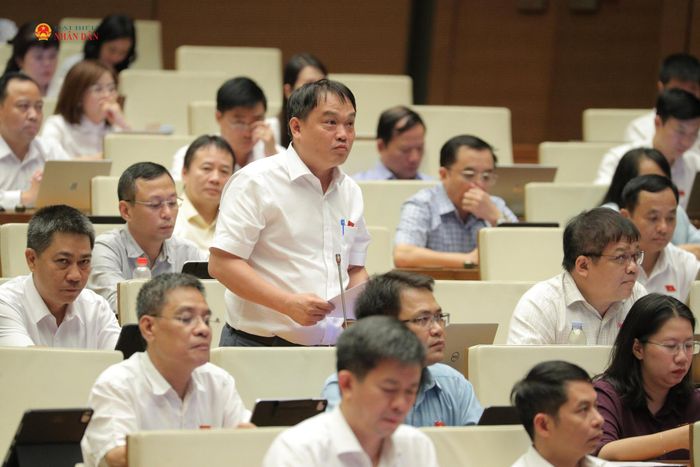 ĐBQH Nguyễn Thanh Xuân (TP. Huế) phát biểu. Ảnh: Hồ Long