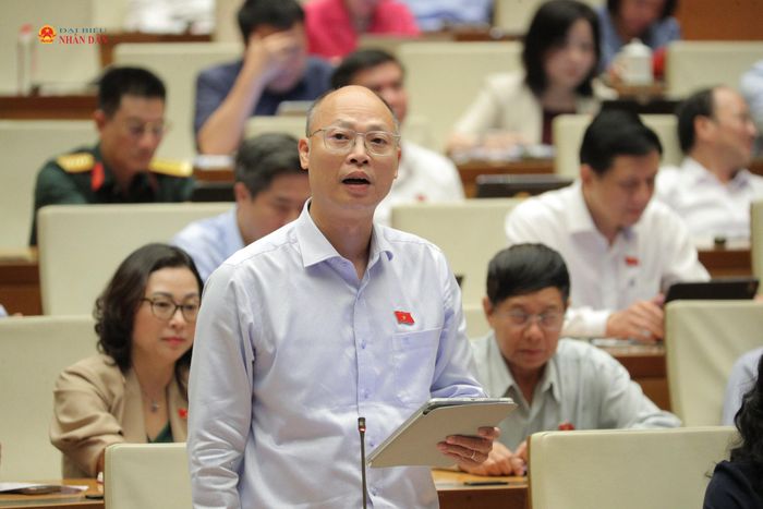 ĐBQH Lê Trung Thành (An Giang) phát biểu. Ảnh: Hồ Long