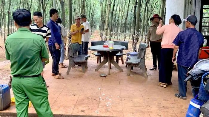 Ngôi nhà trông coi rẫy cao su là nơi ông Khỏi ở và làm việc trong những năm qua.