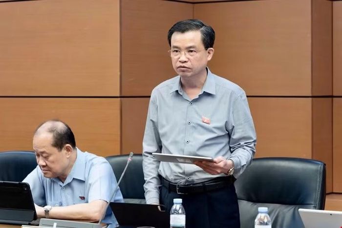 Đại biểu Bế Thanh Tịnh.
