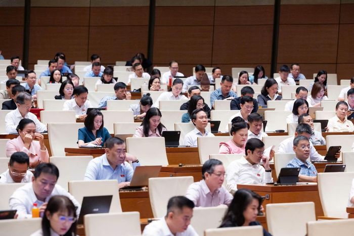 Các đại biểu dự phiên họp.