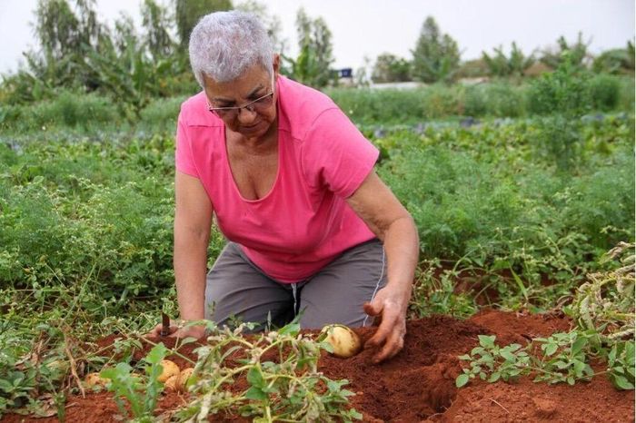 Nguồn ảnh: WFP/ Ana Mascarenhas