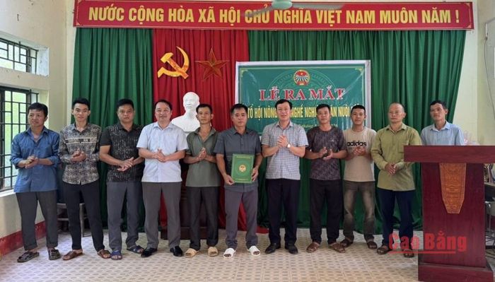 Ra mắt Tổ hội nông dân nghề nghiệp "Chăn nuôi dê sinh sản".