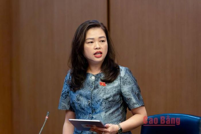 Đại biểu Đoàn Thị Lê An, Tỉnh ủy viên, Phó Chủ tịch Ủy ban Mặt trận Tổ quốc tỉnh, Chủ tịch Hội Liên hiệp Phụ nữ tỉnh phát biểu thảo luận tại tổ.