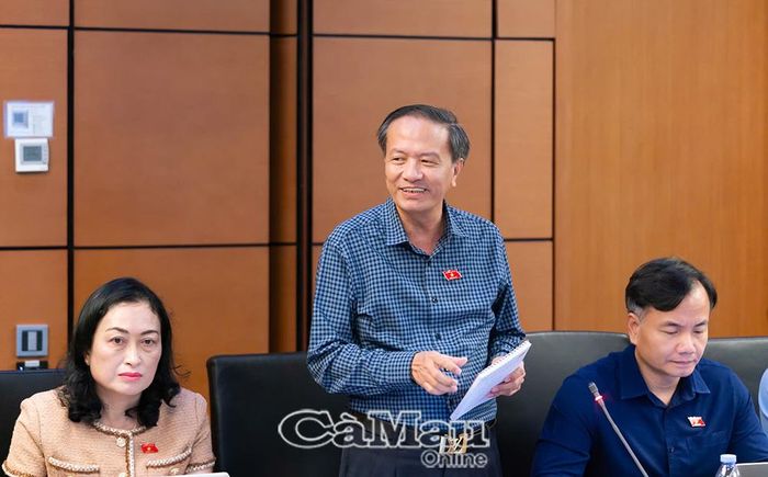 Đại biểu Đinh Ngọc Minh, Ủy viên chuyên trách Ủy ban Kinh tế và Tài chính của Quốc hội phát biểu thảo luận.