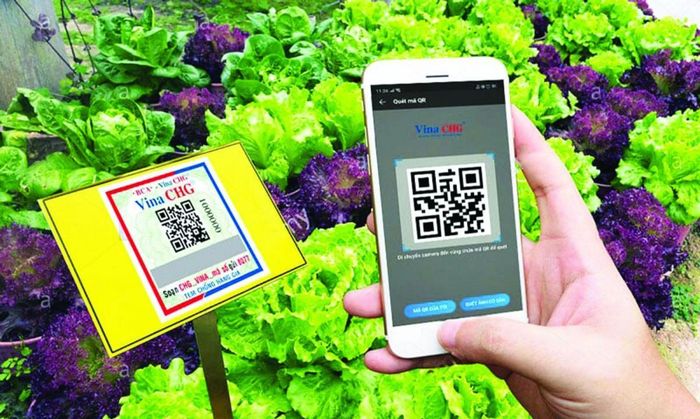 Xu thế thời đại đang tạo đà chuyển biến