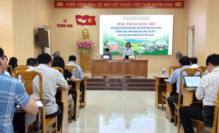 Quang cảnh hội thảo đầu bờ đánh giá mô hình chuyển đổi đất lúa kém hiệu quả sang trồng ngô sinh khối gắn với liên kết tiêu thụ sản phẩm