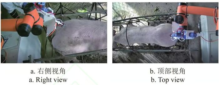 Robot đạt tỷ lệ tiêm thành công 93,3%, trong đó 95,2% mũi tiêm được thực hiện theo phương vuông góc với vị trí mục tiêu
