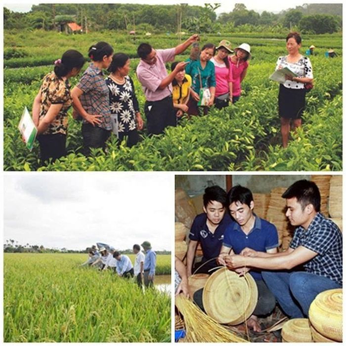 Nhiều mô hình đã tạo được dấu ấn như tour trải nghiệm văn hóa cà phê "From Farm to Cup", các farmstay, trang trại nông nghiệp công nghệ cao, các điểm du lịch gắn với sản phẩm OCOP và làng nghề truyền thống