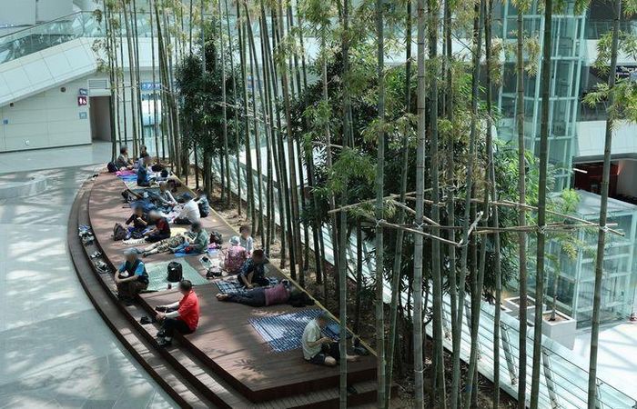 Người cao tuổi tránh nóng nhà ga số 2 sân bay quốc tế Incheon ngày 5/8. (Ảnh: Yonhap)