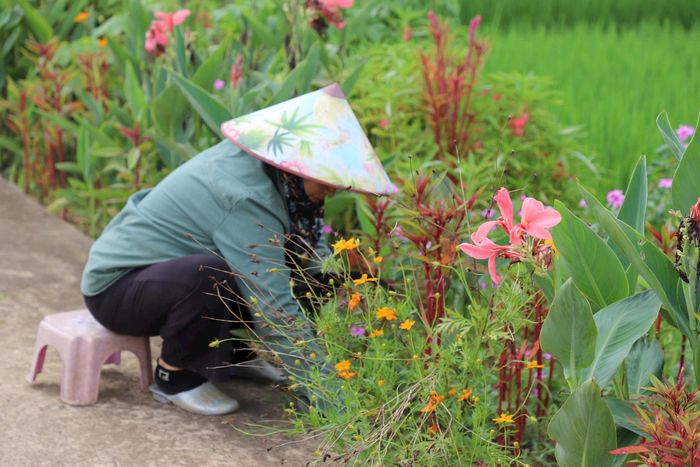 Người dân xã Yên Xuân chăm sóc các đường hoa, góp phần tạo hình ảnh vùng quê đáng sống. Ảnh: Đinh Hồng