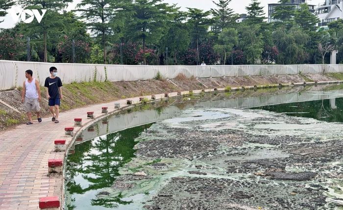 Chất thải ken đặc trên hồ điều hòa Công viên Ngọc Thụy. Ảnh ST