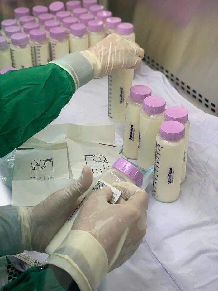 Các nhân viên đang chuẩn bị tiến hành thanh trùng sữa mẹ - Ảnh: T.T