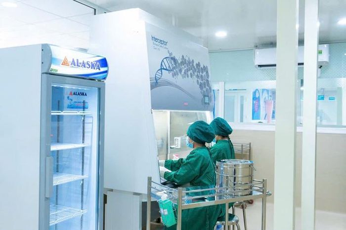 Chia sữa dưới tủ an toàn sinh học tại Ngân hàng sữa mẹ Bệnh viện Hùng Vương TPHCM - Ảnh: T.T