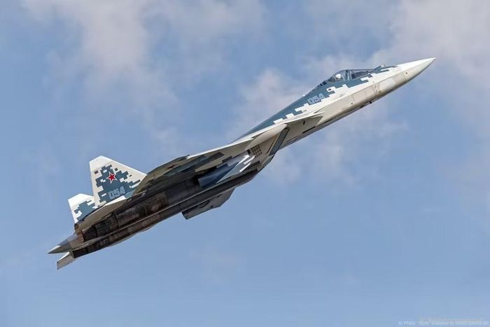 New Delhi liên tục phàn nàn về hiệu suất của FGFA, nhấn mạnh việc nó không đáp ứng được yêu cầu tàng hình, họ còn tố cáo Nga không nghiêm chỉnh trong chuyển giao công nghệ như đã cam kết, đây là nguyên nhân chính dẫn tới việc Moskva chào bán Su-57E bất thành.
