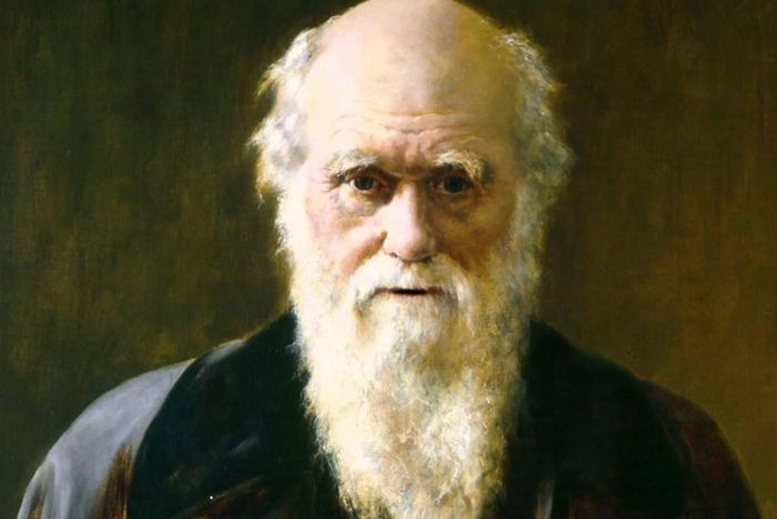 Charles Darwin là một trong những người đầu tiên nghiên cứu nguồn gốc tiến hóa của các biểu hiện cảm xúc ở con người, trong đó có hiện tượng đỏ mặt. Ảnh: National Portrait Gallery, London. 
