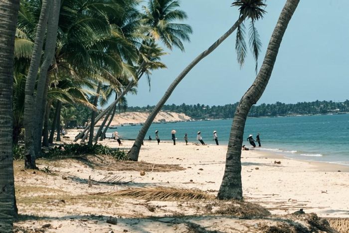  Ngoài bến cá Khánh Phước, người dân thường kéo lưới dọc theo bãi biển. Năm 1971, biển Mũi Né nước xanh và êm sóng, hàng dừa mọc dọc theo bãi cát trắng, chưa xuất hiện những dịch vụ du lịch hay hàng quán, ghế dù ven biển. 