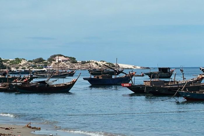  Những con thuyền đánh bắt sau khi trở về bờ và neo đậu, chờ chuyến ra khơi tiếp theo. Hiện khu vực Mũi Né được UBND Lâm Đồng quy hoạch khu du lịch quốc gia Mũi Né đến năm 2040, tầm nhìn đến năm 2050, hướng đến mục tiêu đưa khu du lịch trở thành một trong những điểm đến hàng đầu của khu vực châu Á - Thái Bình Dương. Hành lang ven biển dài 63 km là trục chính liên kết toàn khu, kết nối các vùng cảnh quan, khu nghỉ dưỡng, trung tâm dịch vụ, không gian cộng đồng và hệ thống bãi biển. 