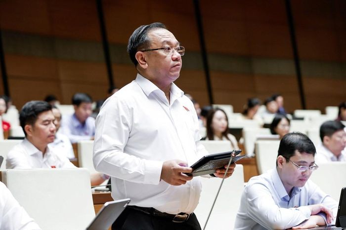 Đại biểu Nguyễn Thành Trung phát biểu